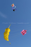 22 Festival international de cerf volant de Dieppe - MK3_9697_DxO WEB.jpg