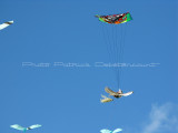 91 Festival international de cerf volant de Dieppe - IMG_5604_DxO WEB.jpg
