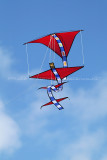 185 Festival international de cerf volant de Dieppe - MK3_9784_DxO WEB.jpg
