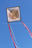 193 Festival international de cerf volant de Dieppe - MK3_9789_DxO WEB.jpg