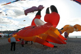 409 Festival international de cerf volant de Dieppe - IMG_7299_DxO WEB.jpg