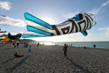 419 Festival international de cerf volant de Dieppe - IMG_7309_DxO WEB.jpg