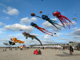 440 Festival international de cerf volant de Dieppe - IMG_5676_DxO WEB.jpg