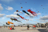 450 Festival international de cerf volant de Dieppe - IMG_7334_DxO WEB.jpg