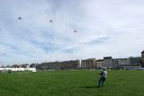 563 Festival international de cerf volant de Dieppe - IMG_7344_DxO WEB.jpg
