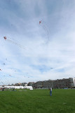 575 Festival international de cerf volant de Dieppe - IMG_7356_DxO WEB.jpg