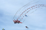 600 Festival international de cerf volant de Dieppe - MK3_0025_DxO WEB.jpg