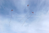 605 Festival international de cerf volant de Dieppe - IMG_7372_DxO WEB.jpg