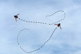 625 Festival international de cerf volant de Dieppe - MK3_0044_DxO WEB.jpg