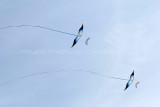 680 Festival international de cerf volant de Dieppe - MK3_0082_DxO WEB.jpg
