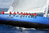 3442 Voiles de Saint-Tropez 2010 - MK3_3006_DxO WEB.jpg