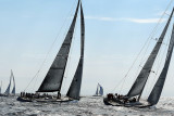 3530 Voiles de Saint-Tropez 2010 - MK3_3077_DxO WEB.jpg