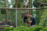 626 Visite du zoo parc de Beauval MK3_7380_DxO WEB.jpg