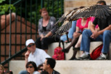 637 Visite du zoo parc de Beauval MK3_7420_DxO WEB.jpg