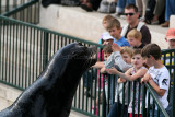 715 Visite du zoo parc de Beauval MK3_7561_DxO WEB.jpg
