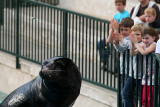 716 Visite du zoo parc de Beauval MK3_7562_DxO WEB.jpg