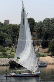 3012 Vacances en Egypte - MK3_1933_DxO WEB.jpg
