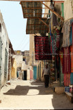 3142 Vacances en Egypte - MK3_2063_DxO WEB.jpg
