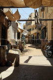 3168 Vacances en Egypte - MK3_2089_DxO WEB.jpg
