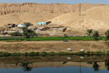 3271 Vacances en Egypte - MK3_2199_DxO WEB.jpg