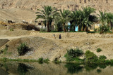 3274 Vacances en Egypte - MK3_2202_DxO WEB.jpg