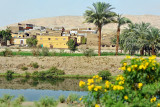 3287 Vacances en Egypte - MK3_2215_DxO WEB.jpg