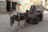 3449 Vacances en Egypte - MK3_2377_DxO WEB.jpg