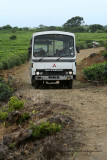 2 weeks on Mauritius island in march 2010 - 1803MK3_1000_DxO WEB.jpg