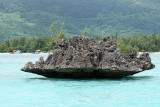 2 weeks on Mauritius island in march 2010 - 2501MK3_1509_DxO WEB.jpg