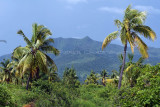 2 weeks on Mauritius island in march 2010 - 2614MK3_1622_DxO WEB.jpg