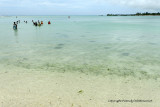 2 weeks on Mauritius island in march 2010 - 2030MK3_1242_DxO WEB.jpg