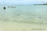 2 weeks on Mauritius island in march 2010 - 2031MK3_1243_DxO WEB.jpg