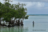 2 weeks on Mauritius island in march 2010 - 2049MK3_1264_DxO WEB.jpg