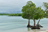 Mauritius island - On the east coast - A la découverte de la côte Est de l'île