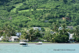 2 weeks on Mauritius island in march 2010 - 2242MK3_1468_DxO WEB.jpg