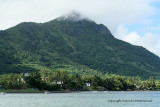 2 weeks on Mauritius island in march 2010 - 2221MK3_1446_DxO WEB.jpg