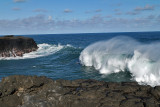 2 weeks on Mauritius island in march 2010 - 3059MK3_2086_DxO WEB.jpg