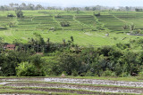 3828 - Discovering Indonesia - Java Sulawesi and Bali islands - IMG_6007_DxO Pbase.jpg