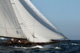 999 Voiles de Saint-Tropez 2012 - MK3_6535_DxO Pbase.jpg