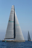 3161 Voiles de Saint-Tropez 2012 - MK3_7819_DxO Pbase.jpg