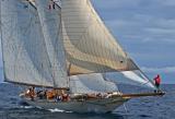 Voiles de Saint-Tropez 2005 - Voiliers de tradition - Sunshine