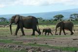 Dpart de la rserve dAmbosli vers celle de Tsavo Ouest