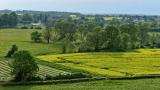 Paysage de la Cte dOr en Bourgogne