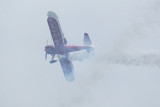 Meeting arien de la Fert-Alais 2008 - Les wing walkers du team Guinot