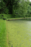 Visite du parc du chteau de Courances dans lEssonne