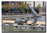 DC_Harbor_0667.jpg