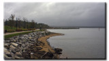 DC_Harbor_0846.jpg