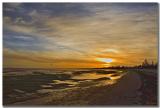 Altona Gold_8520.jpg