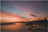 Altona Beach