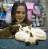 Through Glass 9109.jpg